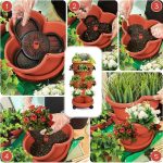 PLANTUP