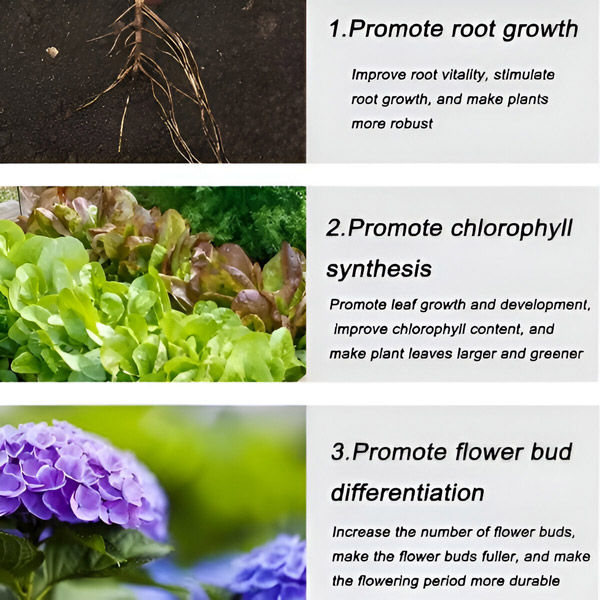 FERTIGROW