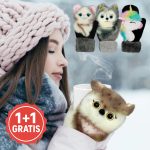 M2ITTENPET