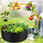 PLANTIE