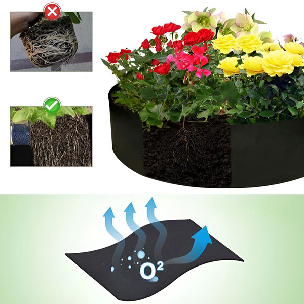 PLANTIE