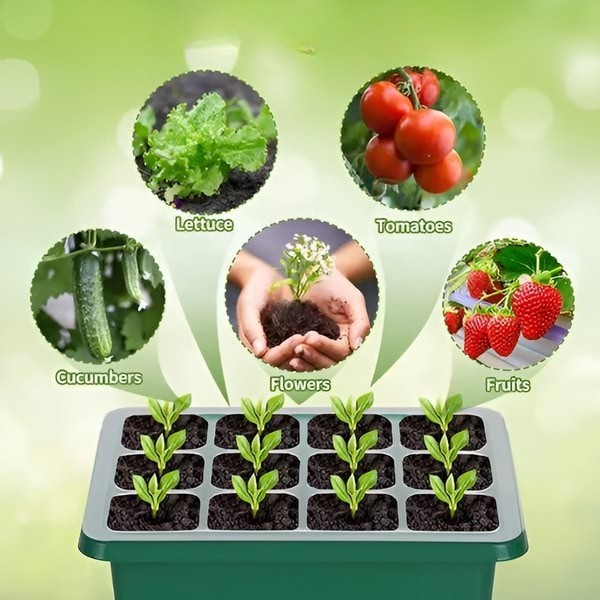 PLANTURKA