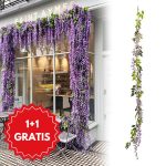 WISBLOOM