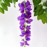 WISBLOOM