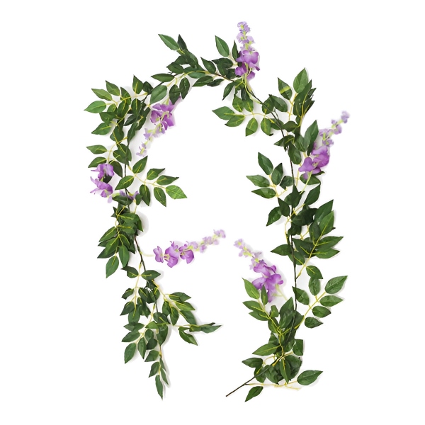WISBLOOM
