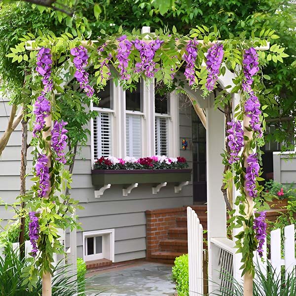 WISBLOOM