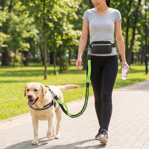 Bærbar hundeløbesnor | DOGZIP